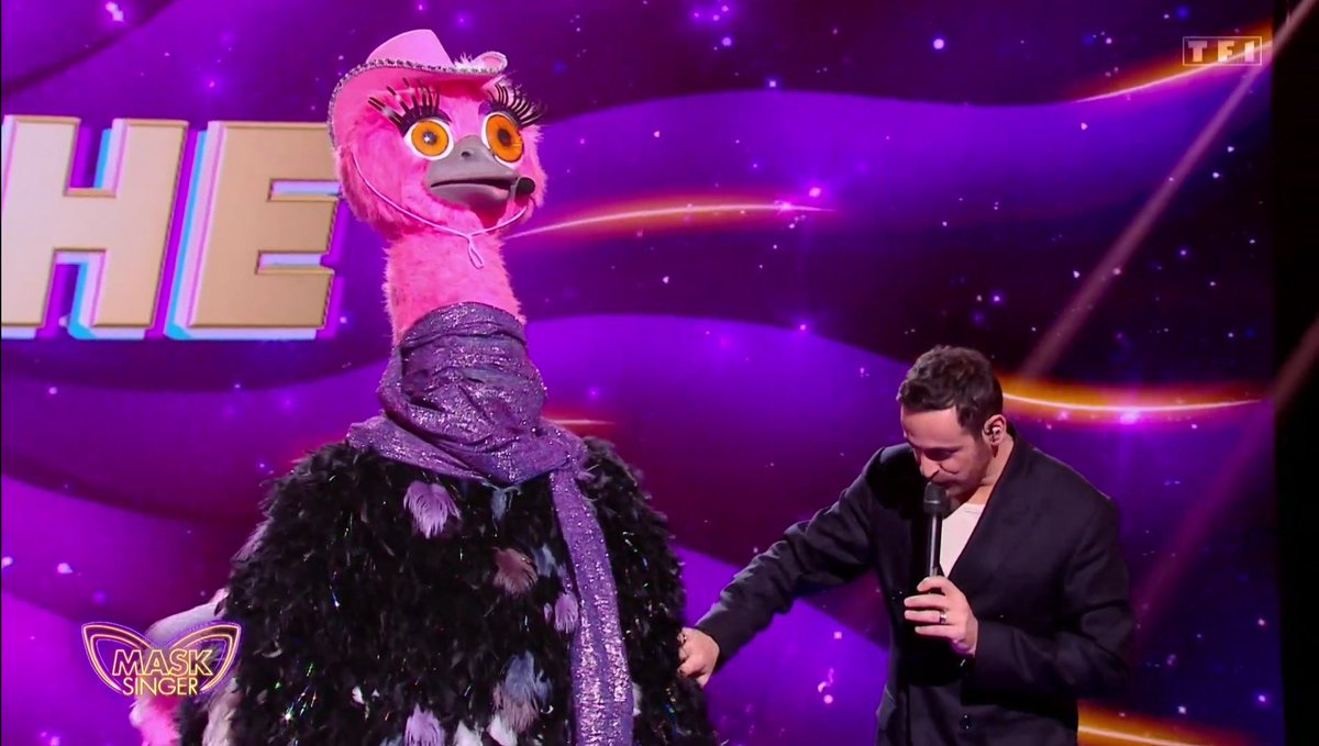 Soldatdesmedias's tweet photo. Je pense aussi, #JeanfiJanssens pour l'#Autruche ! #MaskSinger https://t.co/SE7SOJYxha