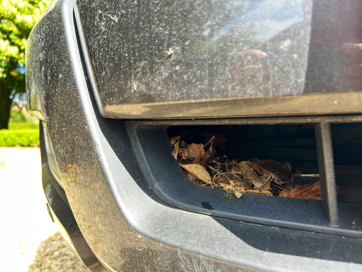 Looks like my truck is out of action for a few weeks…! 😆❤️ #Robin #TheresARobinInMyTruck!