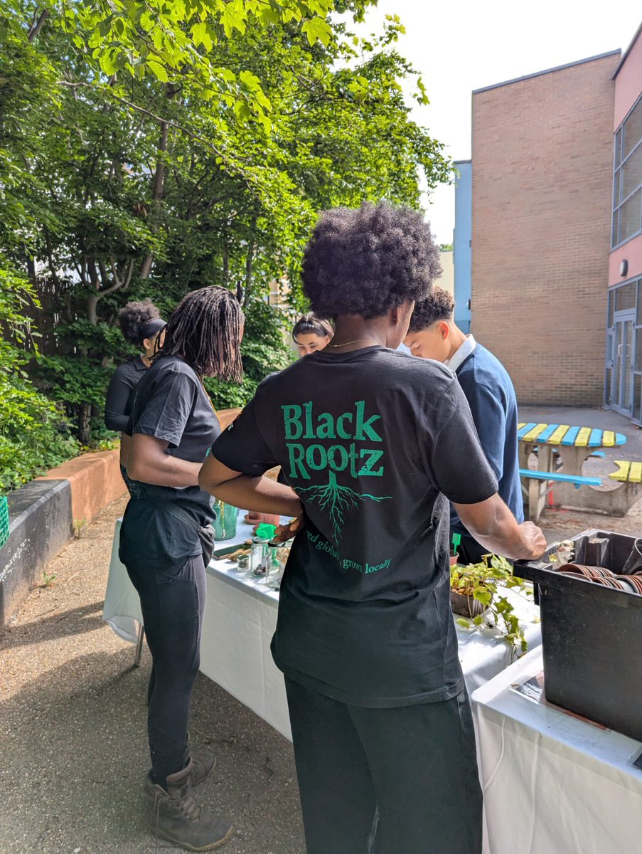 Haringey Learning Partnership (@haringeylp) on Twitter photo Sweet potato vines, callaloo seeds, and a powerful lesson on the links between Caribbean & West African crops – what a day!
Massive thanks to #EatWoodGreen & <a href="/blackrootz__/">Black Rootz</a> for helping our students learn through food & culture. #ThisIsAP <a href="/haringeycouncil/">Haringey Council</a> Sweet potato vines, callaloo seeds, and a powerful lesson on the links between Caribbean & West African crops – what a day!
Massive thanks to #EatWoodGreen & <a href="/blackrootz__/">Black Rootz</a> for helping our students learn through food & culture. #ThisIsAP <a href="/haringeycouncil/">Haringey Council</a>