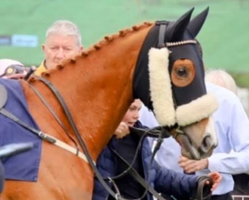 HQ Equestrian (@hqequestrian) on Twitter photo 🎓YARD GRADUATE🎓
Massive congratulations Two B Tanned for completing a hat-trick of wins today! Great rides from Joe Fanning, brilliant training by <a href="/JCamachoRacing/">Julie Camacho Racing</a>. Delighted for owners 2bTanned & all connections
Loved being a part of her journey from backing to pre-training🤩 🎓YARD GRADUATE🎓
Massive congratulations Two B Tanned for completing a hat-trick of wins today! Great rides from Joe Fanning, brilliant training by <a href="/JCamachoRacing/">Julie Camacho Racing</a>. Delighted for owners 2bTanned & all connections
Loved being a part of her journey from backing to pre-training🤩