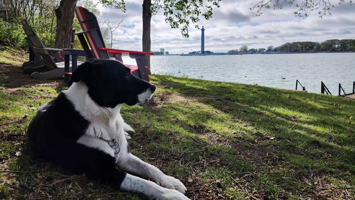 The dog days of summer will be here before you know it! Want to spend the summer learning on an island and out on Lake Erie? 

Learn more and enroll at stonelab.osu.edu.

#StoneLabNewton
Photo Credit: Dr. Brian Alford, Stone Lab's Assistant Director.