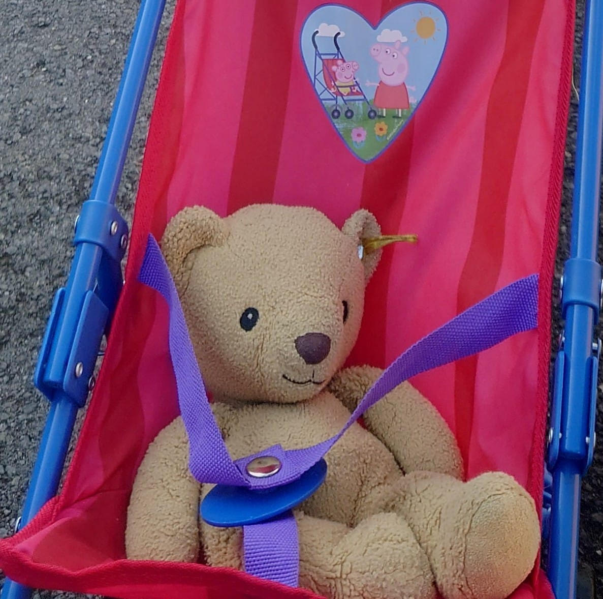 David Bunker (@mr_bunker_edu) on Twitter photo Very precious and well loved Teddy lost in Bristol today - somewhere between Corn Street and the Galleries is my best bet. 2nd May, between 13:00 and 14:00 Can anyone help / RT? <a href="/lostteddybear/">Lost Teddy Bear</a> <a href="/StNicksTraders/">St Nicholas Market</a> <a href="/bristol247/">Bristol24/7</a> <a href="/beardedjourno/">Martin Booth</a> <a href="/BristolLive/">Bristol Live</a> Very precious and well loved Teddy lost in Bristol today - somewhere between Corn Street and the Galleries is my best bet. 2nd May, between 13:00 and 14:00 Can anyone help / RT? <a href="/lostteddybear/">Lost Teddy Bear</a> <a href="/StNicksTraders/">St Nicholas Market</a> <a href="/bristol247/">Bristol24/7</a> <a href="/beardedjourno/">Martin Booth</a> <a href="/BristolLive/">Bristol Live</a>