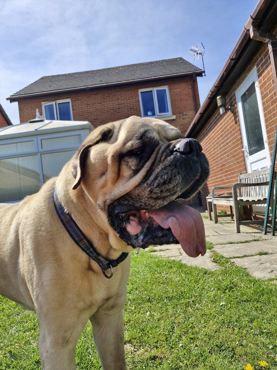 Today we said a sad farewell to Elvis. He's been a very much-loved member of the family for over 11 years. He will be missed but never forgotten. 💙💔😢