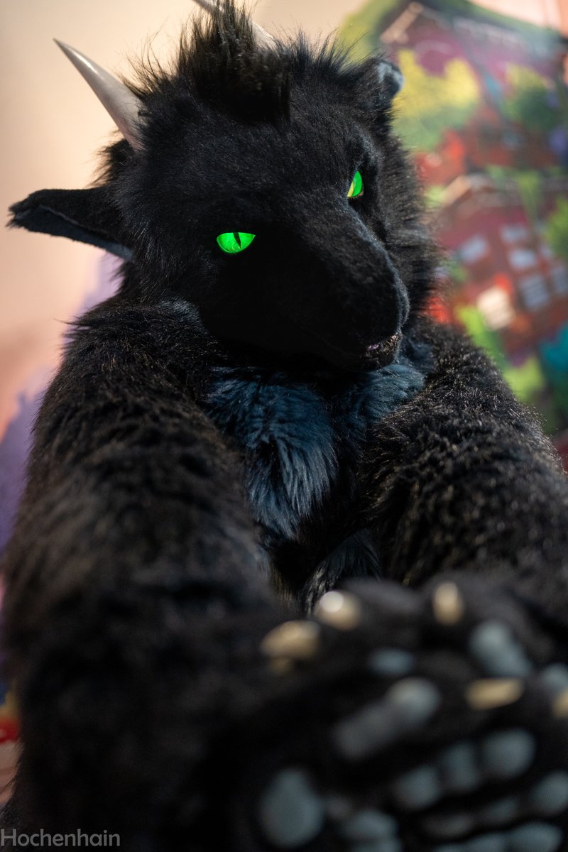 Hochenhain's tweet image. At my the last night on #NFC25 i saw something really beautiful. So i grab wiht my last strength my camera too take my last pics in the late night.
I took some many pictures at this night but he... he inspiert to take more. 
@Nachtdrache_K 
#furry