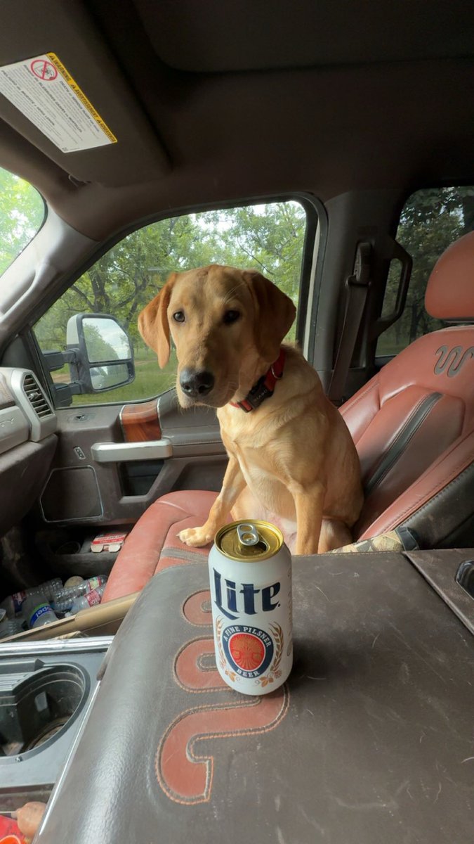 Cold beer and a good hound, don’t really need much else in life.