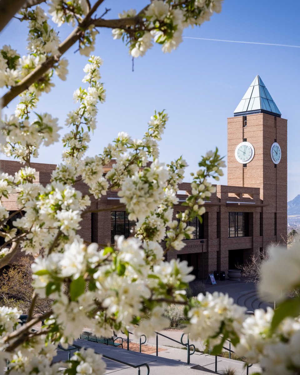 Campus is in full bloom 🌼 

Who else is loving these spring vibes?👋