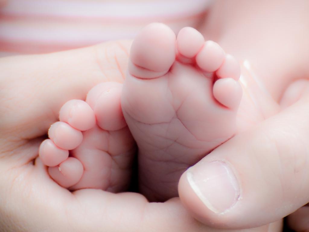 IVF families have been blocked from their own embryos because they do not comply with reforms enacted after they were created. | <a href="/theheraldsun/">Herald Sun</a> 

heraldsun.com.au/health/family-…