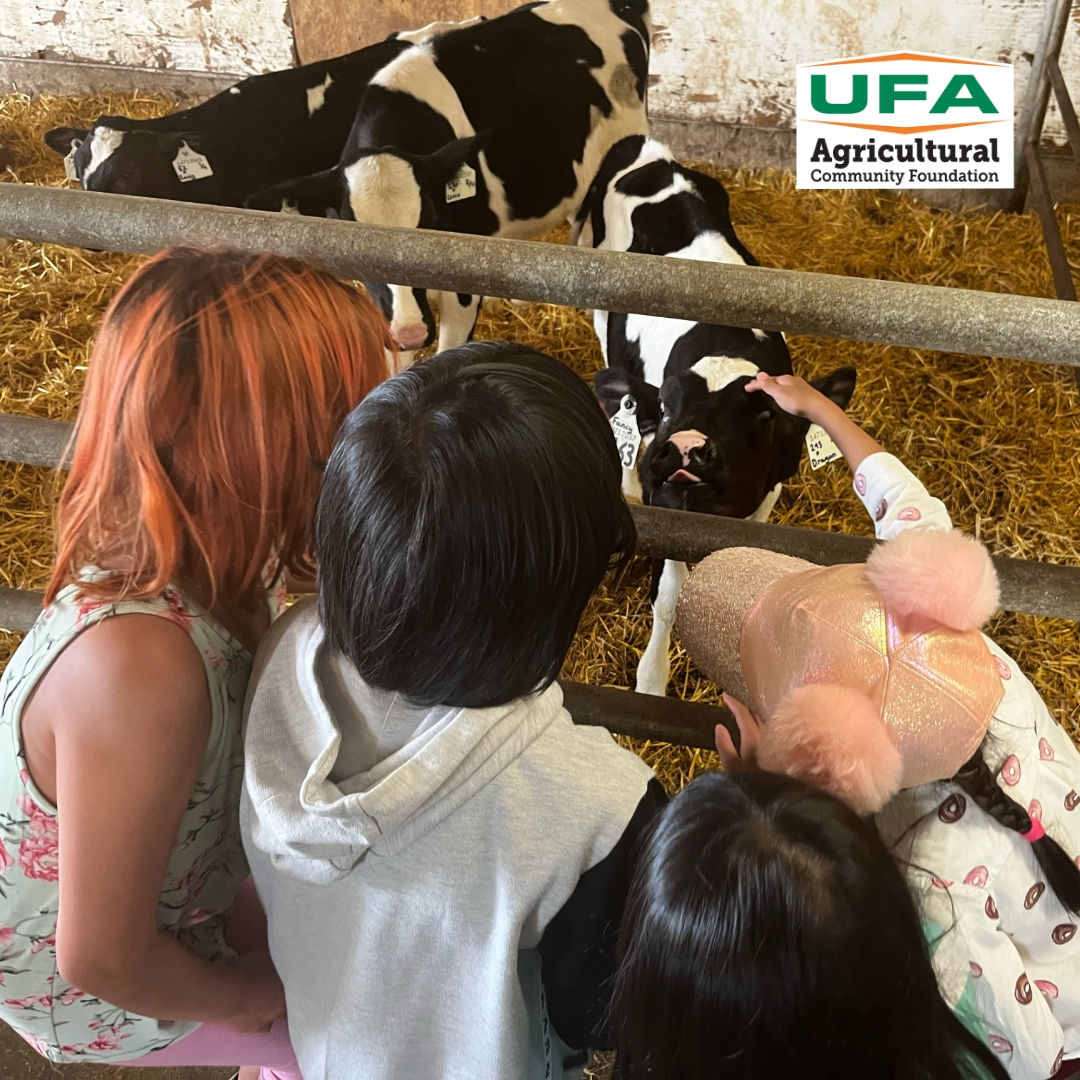 UFA Agricultural Community Foundation (@ufa_foundation) on Twitter photo 🎉UFA Foundation Sponsorship Aims to Aspire Future Ag Leaders
We are pleased to announce an exciting new sponsorship with Agriculture in the Classroom Saskatchewan (AITC-SK), an organization dedicated to connecting kids and ag.
➡️Full article: brnw.ch/21wSnHh
<a href="/aitcsk/">Agriculture in the Classroom SK</a> 🎉UFA Foundation Sponsorship Aims to Aspire Future Ag Leaders
We are pleased to announce an exciting new sponsorship with Agriculture in the Classroom Saskatchewan (AITC-SK), an organization dedicated to connecting kids and ag.
➡️Full article: brnw.ch/21wSnHh
<a href="/aitcsk/">Agriculture in the Classroom SK</a>