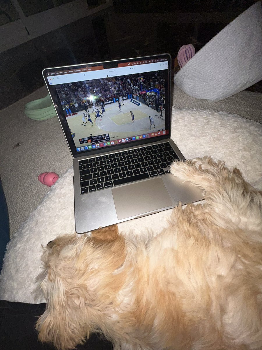 These Euroleague games are more exciting than my dog thinks trust me lol. both Game 5s are going to be 🔥🔥🔥🔥🔥