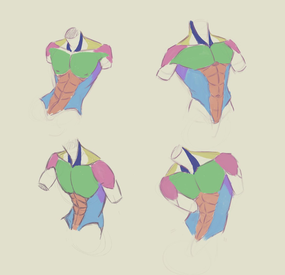 estudos de anatomia de hoje - dessa vez no digital