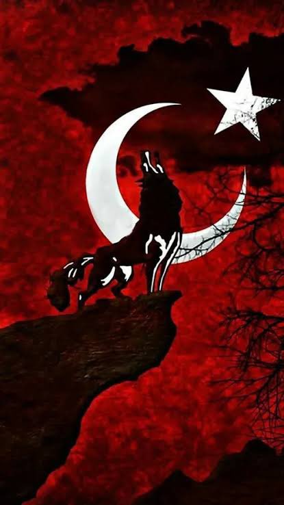 ridvanyavuz027's tweet photo. Cesareti #METEHAN’dan,
İntikamı #ATİLLA’dan,
Destanı #BİLGEKAĞAN’dan,
Gücü #ALPERTUNGA’dan,
Umudu #KÜRŞAD’tan,
İnancı #ALPARSLAN’dan,
Kararlılığı #FATİH’den,
Mücadeleyi #MustafaKemal’den öğrenenin
Adıdır; #TÜRK
#3MayısTürkçülerGünü kutlu olsun 🇹🇷
@RTErdogan @dbdevletbahceli https://t.co/8u24KX5Ehg