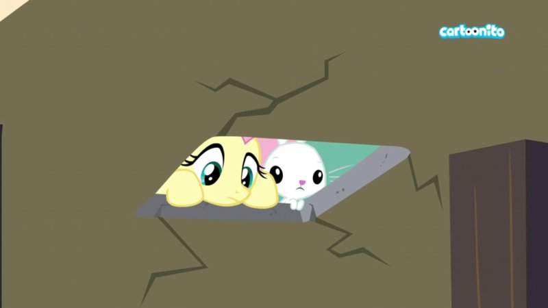 💛Rose Wing🌹 tweet media