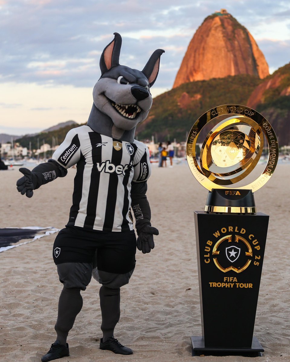 Olha o Bira aí 🐶🔥 #BFR #FCWC #FIFACWC #TakeItToTheWorld 

📸 Arthur Barreto/ BFR