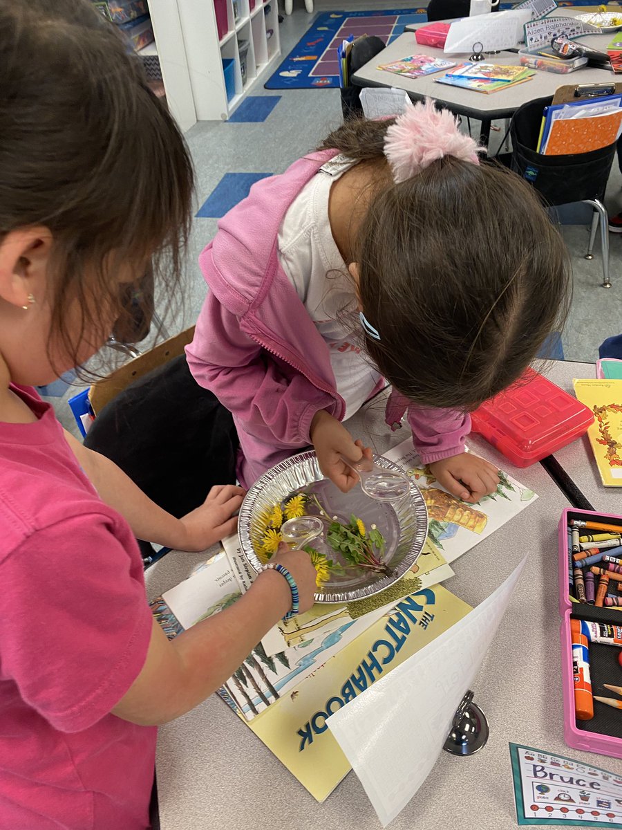 Scientists explore living/nonliving things! #bemisthinkers