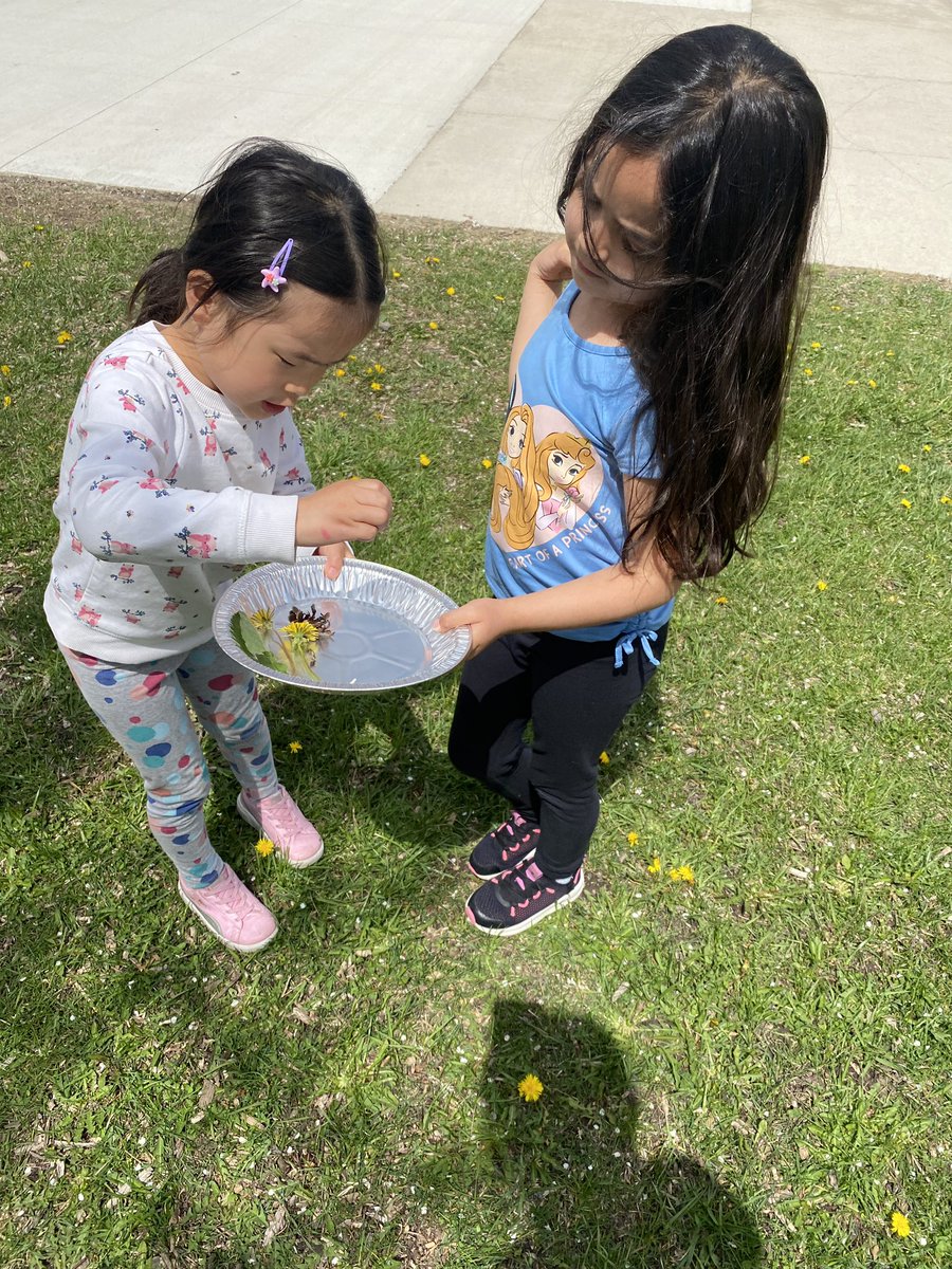 msbeylerian's tweet photo. Scientists explore living/nonliving things! #bemisthinkers https://t.co/VvOOrWBxQz