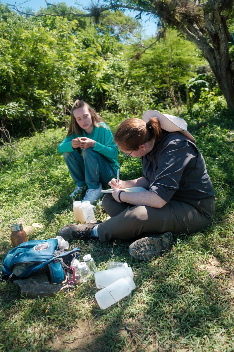 EngineeringUSF's tweet image. 👏 Big shoutout to #USFEngineering alumna Dr. Adaline Buerck for making the @AAEES 40 Under 40 list! 🌱🌎

Read the story here: 🔗 bit.ly/4m47tfO
#WomenInSTEM #USFAlumni #STEMExcellence #EnvironmentalScience #GoBulls