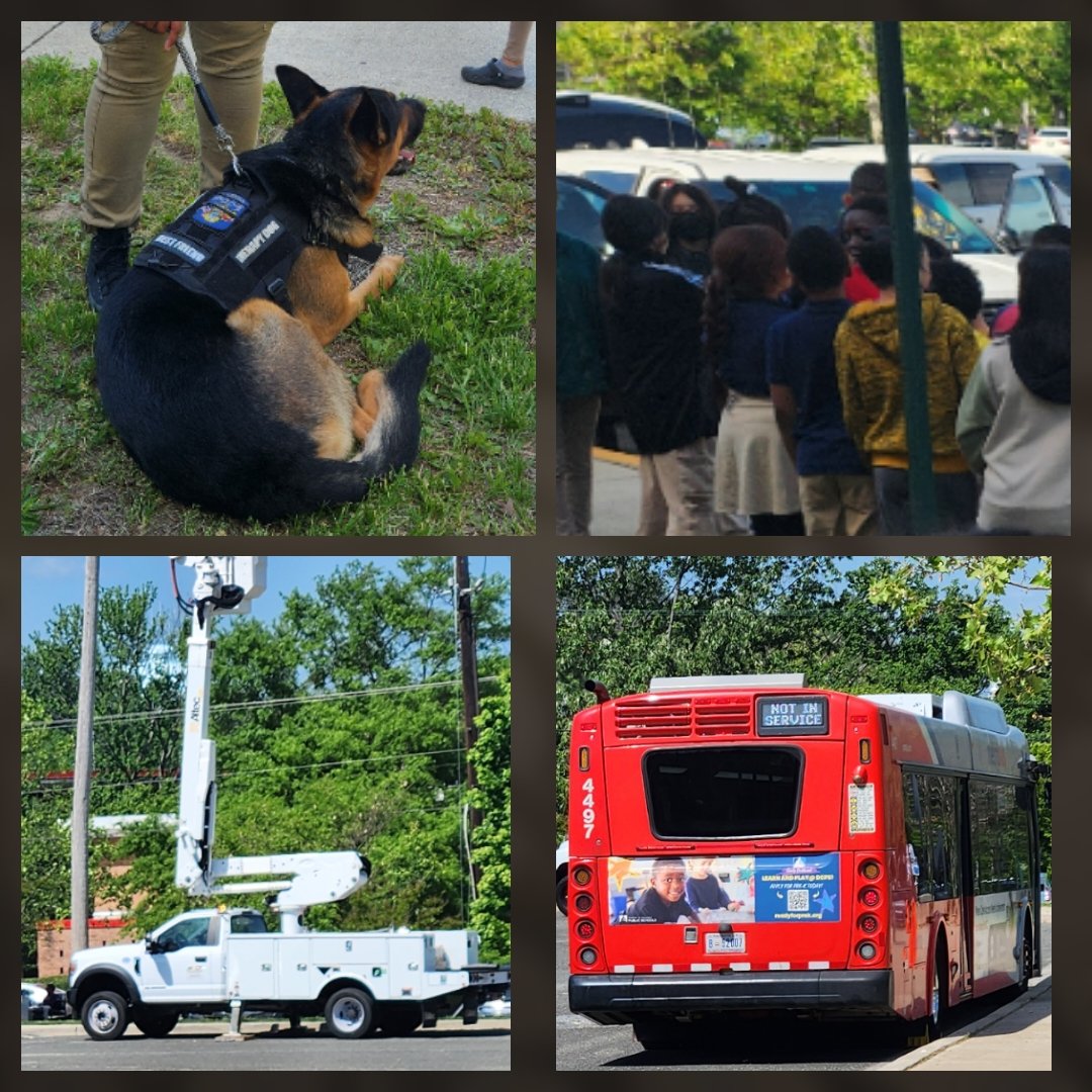 Michelle L. Marek tweet media