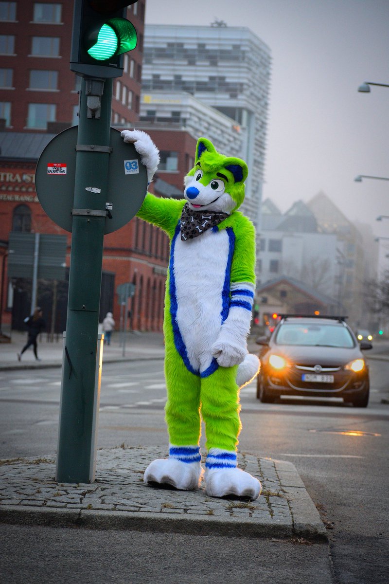 On the road again this #FursuitFriday !

📸 <a href="/MrMikado99/">Mikado99</a>