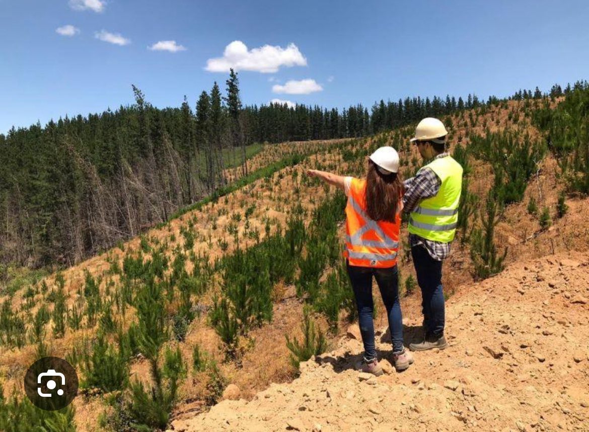 Como cada 3 de mayo, saludamos a las y los ingenieros forestales en su día. Destacamos el papel fundamental que desempeñan en la gestión, conservación y protección de nuestros recursos naturales. En este histórico proceso de cambio, relevamos su importancia al servicio de Chile!