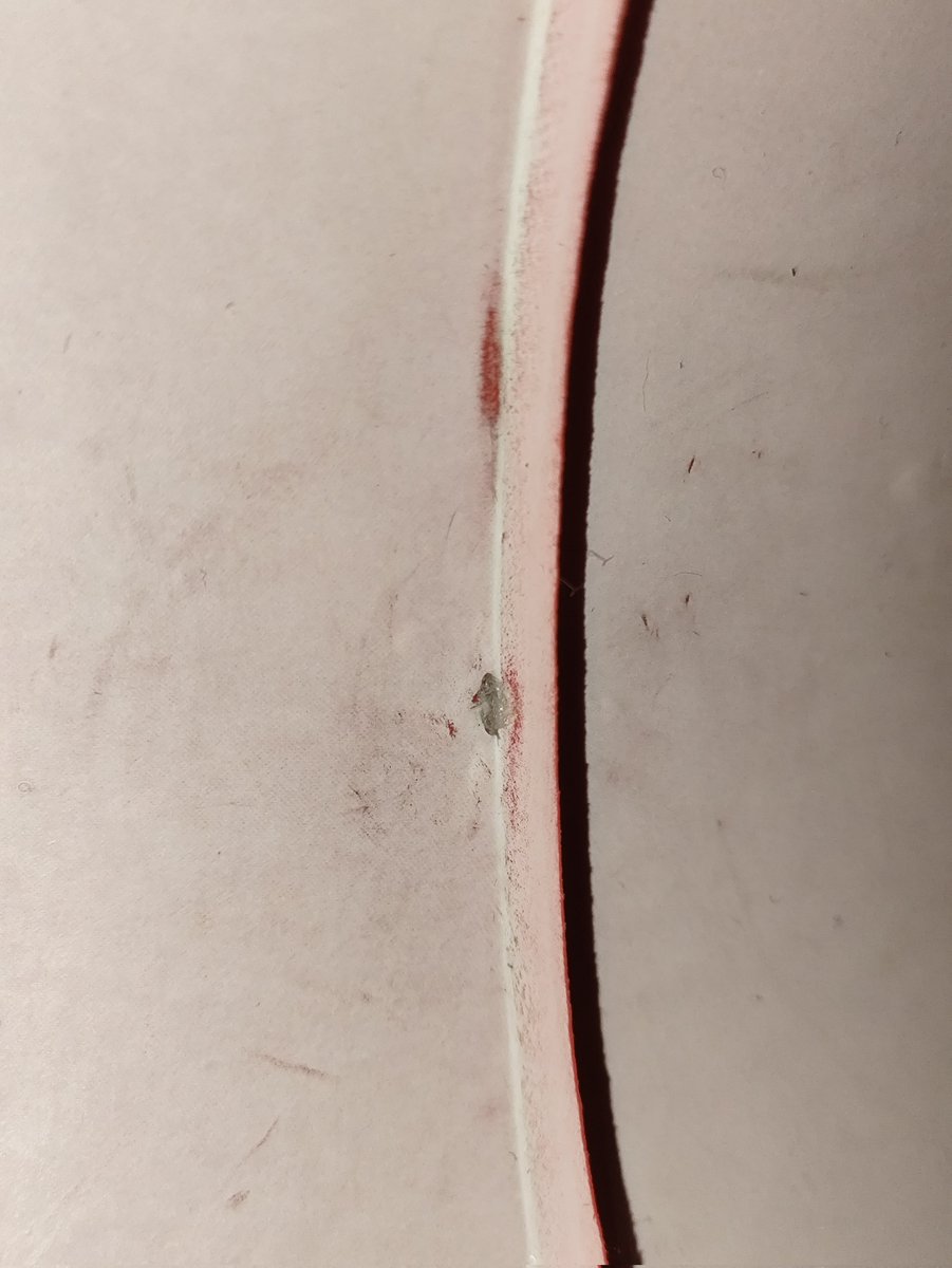 Shortly after inflating the fox I noticed some hissing. At least I was able to repair it myself :3
#pooltoys #squeaks #inflatable