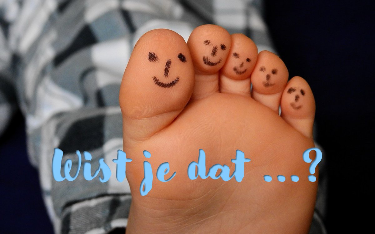 ❓#Wistjedat wij vijf vingers en tenen hebben omdat dat functionele voordelen heeft voor ons, die in de evolutionaire ontwikkeling bijgebleven is? Ongeveer 360 miljoen jaar geleden begonnen de eerste gewervelden het water te verlaten en zich aan te passen aan het leven op land.