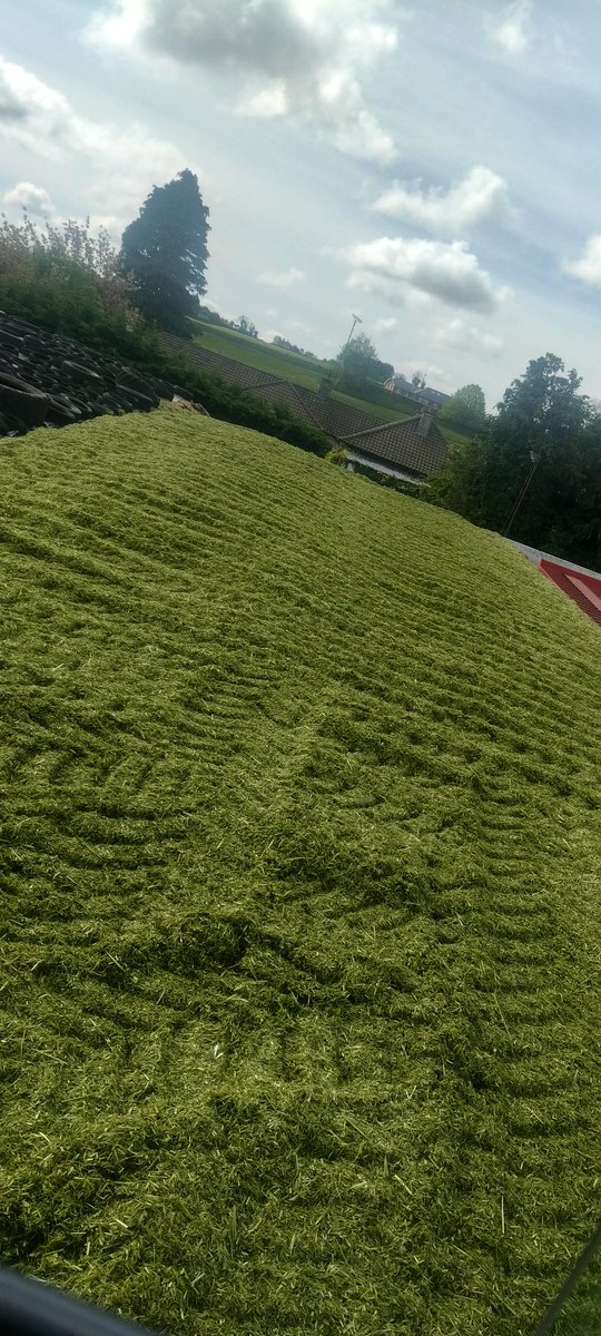 Seán Callan tweet media