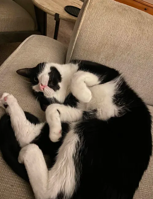 EASTPACKMAN tweet media