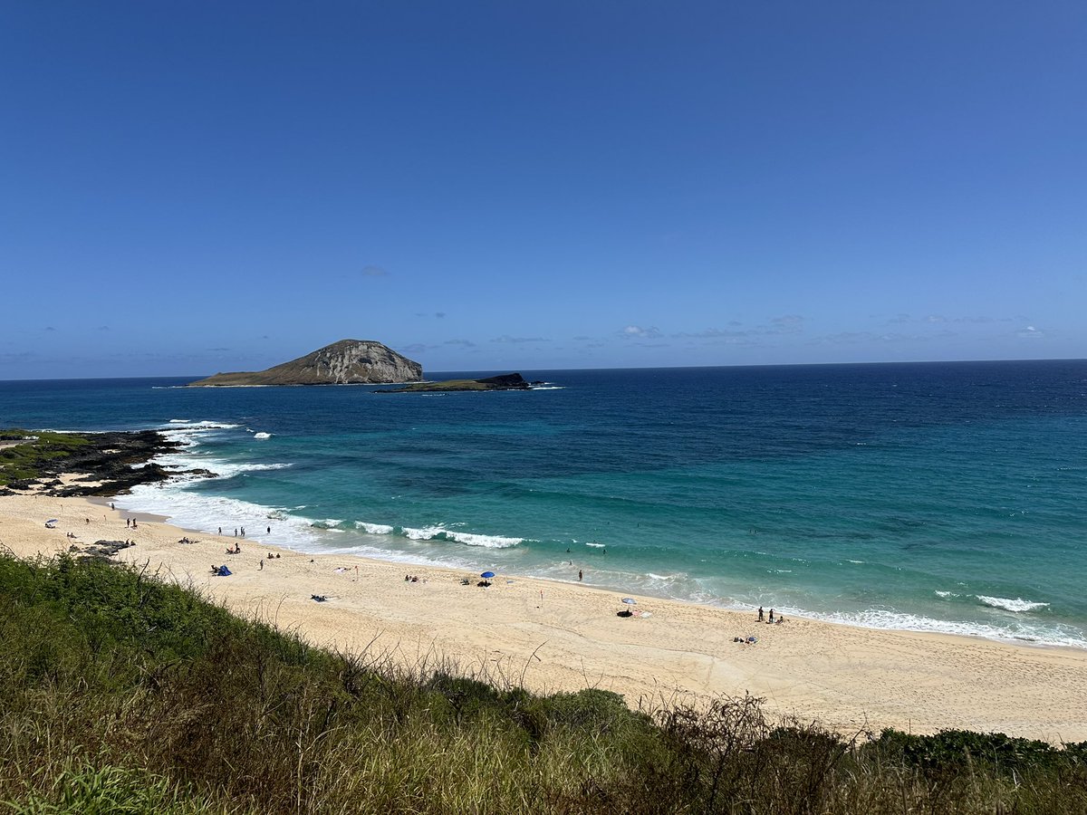 Excited to kick off the wonderful <a href="/ImmunologyAAI/">The American Association of Immunologists (AAI)</a> annual conference tomorrow! Can’t wait to see all the amazing science my colleagues have accomplished. Bonus, come see me on Sunday and chat #CancerResearch  and #imaging #IMMUNOLOGY2025!