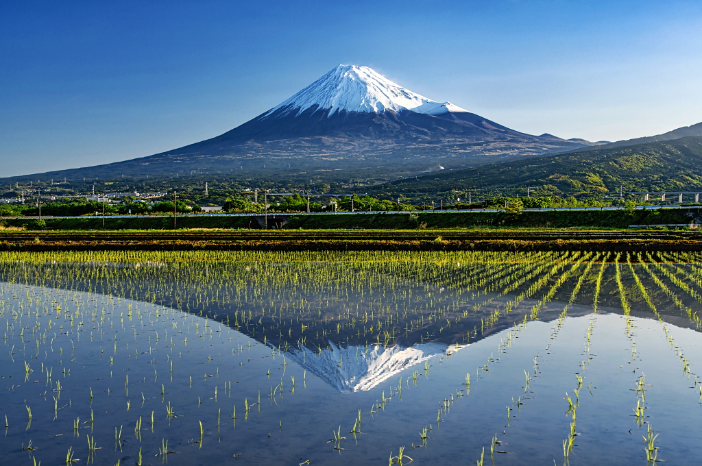 おはようございます。
田植えしたばかりの水田に映る雪化粧の美しい富士山です！