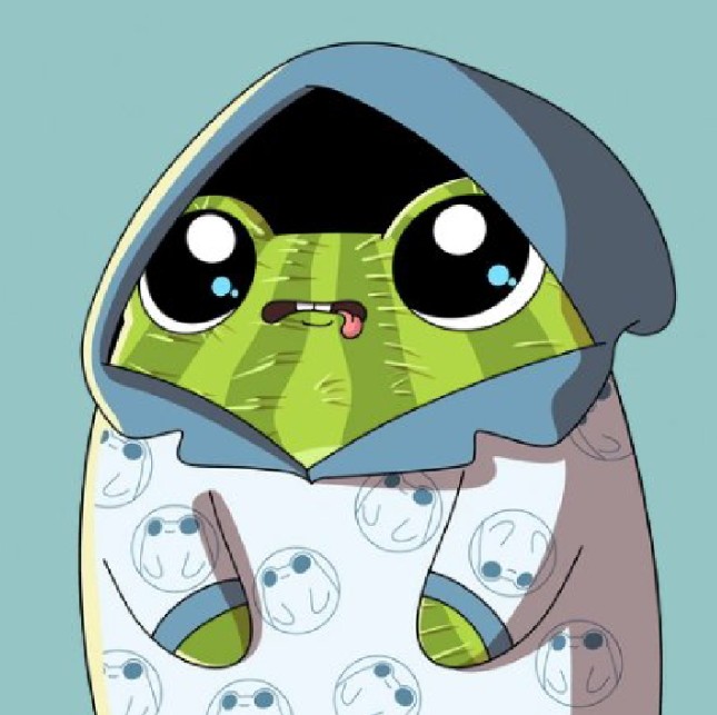 Moneytree (🧙‍♂️ $DOG ) tweet media