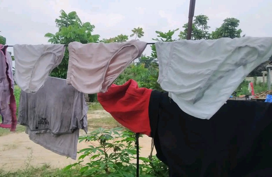 palm beach (@arorasalini) on Twitter photo 