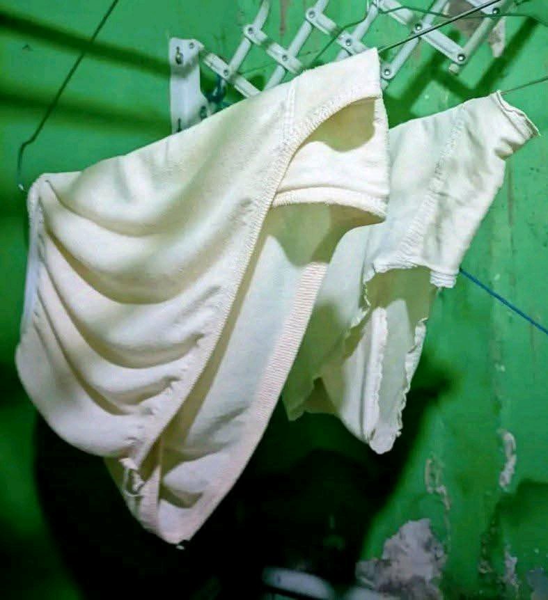 palm beach (@arorasalini) on Twitter photo 