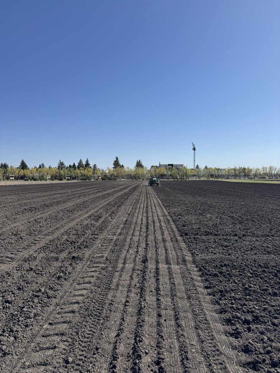 Gurcharn Singh Brar ਗੁਰਚਰਨ ਸਿੰਘ ਬਰਾੜ (@gurcharn_brar) on Twitter photo Beautiful day for seeding! We <a href="/CBL_UA/">UAlberta Cereal Breeding Lab (CBL)</a> finished seeding our F2s + training our new undergrad student intern <a href="/JashanVirhia/">Jashanpreet Singh Virhia</a> from <a href="/UWaterloo/">University of Waterloo</a>. #PublicWheatBreeding
<a href="/AlbertaGrains/">Alberta Grains</a> <a href="/wheat_research/">Canadian Wheat Research Coalition</a> <a href="/SaskWheat/">Sask Wheat</a> <a href="/mb_cropalliance/">Manitoba Crop Alliance</a> <a href="/RDARAlberta/">RDAR (Results Driven Agriculture Research)</a> <a href="/westerngrains/">WGRF</a> <a href="/UAlberta/">University of Alberta</a> <a href="/UofAALES/">UAlberta Faculty of ALES</a> Beautiful day for seeding! We <a href="/CBL_UA/">UAlberta Cereal Breeding Lab (CBL)</a> finished seeding our F2s + training our new undergrad student intern <a href="/JashanVirhia/">Jashanpreet Singh Virhia</a> from <a href="/UWaterloo/">University of Waterloo</a>. #PublicWheatBreeding
<a href="/AlbertaGrains/">Alberta Grains</a> <a href="/wheat_research/">Canadian Wheat Research Coalition</a> <a href="/SaskWheat/">Sask Wheat</a> <a href="/mb_cropalliance/">Manitoba Crop Alliance</a> <a href="/RDARAlberta/">RDAR (Results Driven Agriculture Research)</a> <a href="/westerngrains/">WGRF</a> <a href="/UAlberta/">University of Alberta</a> <a href="/UofAALES/">UAlberta Faculty of ALES</a>