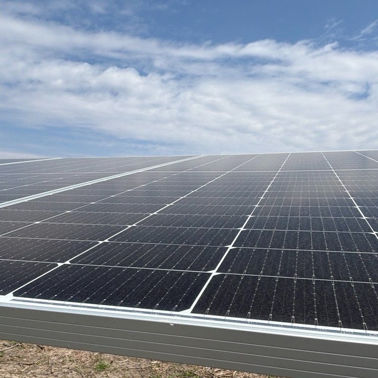 ILMuniElectricAgency tweet media