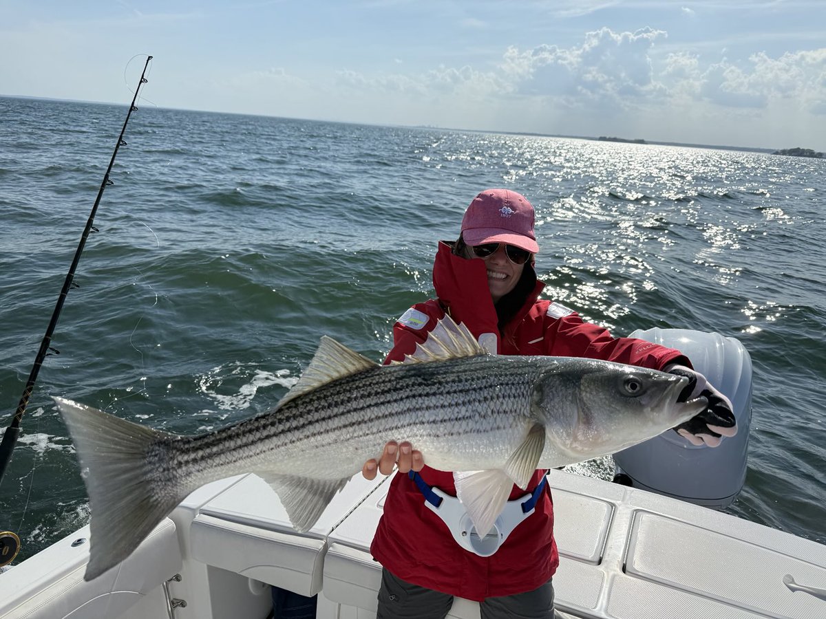 Perfect way to usher in the weekend…big stripers on L.I. Sound! #fairleadstrategies