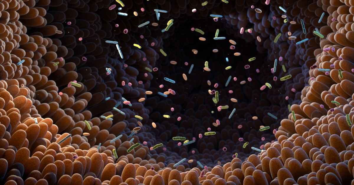 ASBMB (@asbmb) on Twitter photo MCP Journal News | Researchers at <a href="/TU_Muenchen/">TU München</a> developed MS2Bac, a software system that enables bacterial identification from protein data. They published their resource in @MolCellProt.
ow.ly/Gnm350VLZbO MCP Journal News | Researchers at <a href="/TU_Muenchen/">TU München</a> developed MS2Bac, a software system that enables bacterial identification from protein data. They published their resource in @MolCellProt.
ow.ly/Gnm350VLZbO