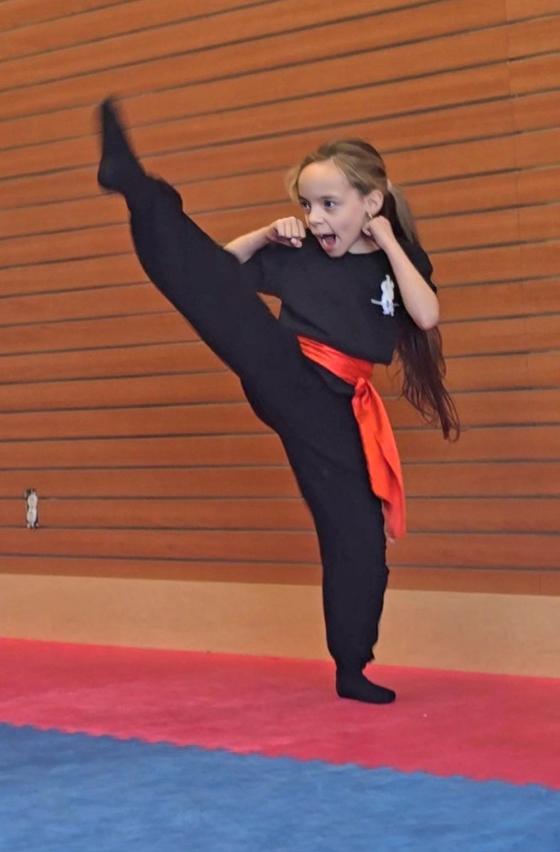 Ok girl! Get um ...

#kungfugirl 🥋