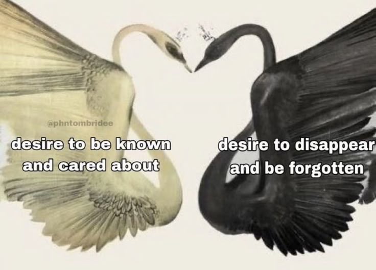 milkstrology's tweet photo. capricorn lore: https://t.co/j2XZxUwy7m