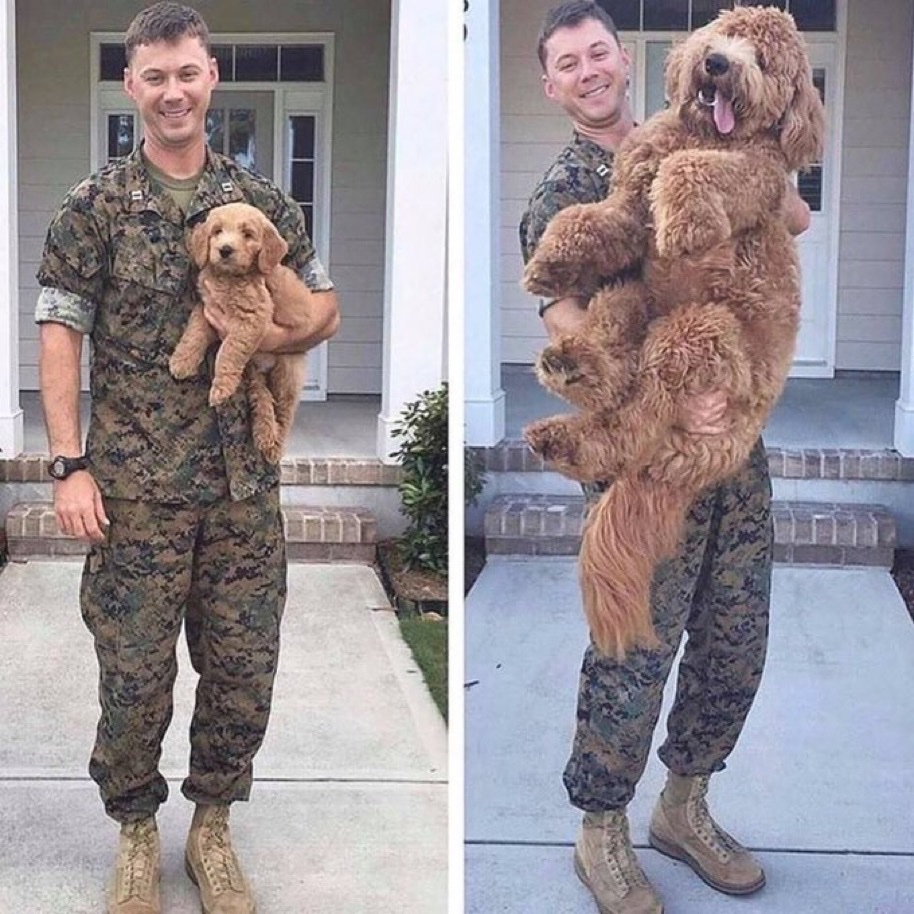 Before deployment after deployment