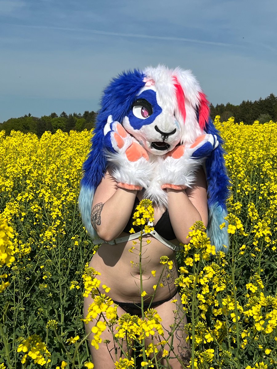 Bunny in a field✨️

#hot #murrsuit #murrsuiter #bunnysuit