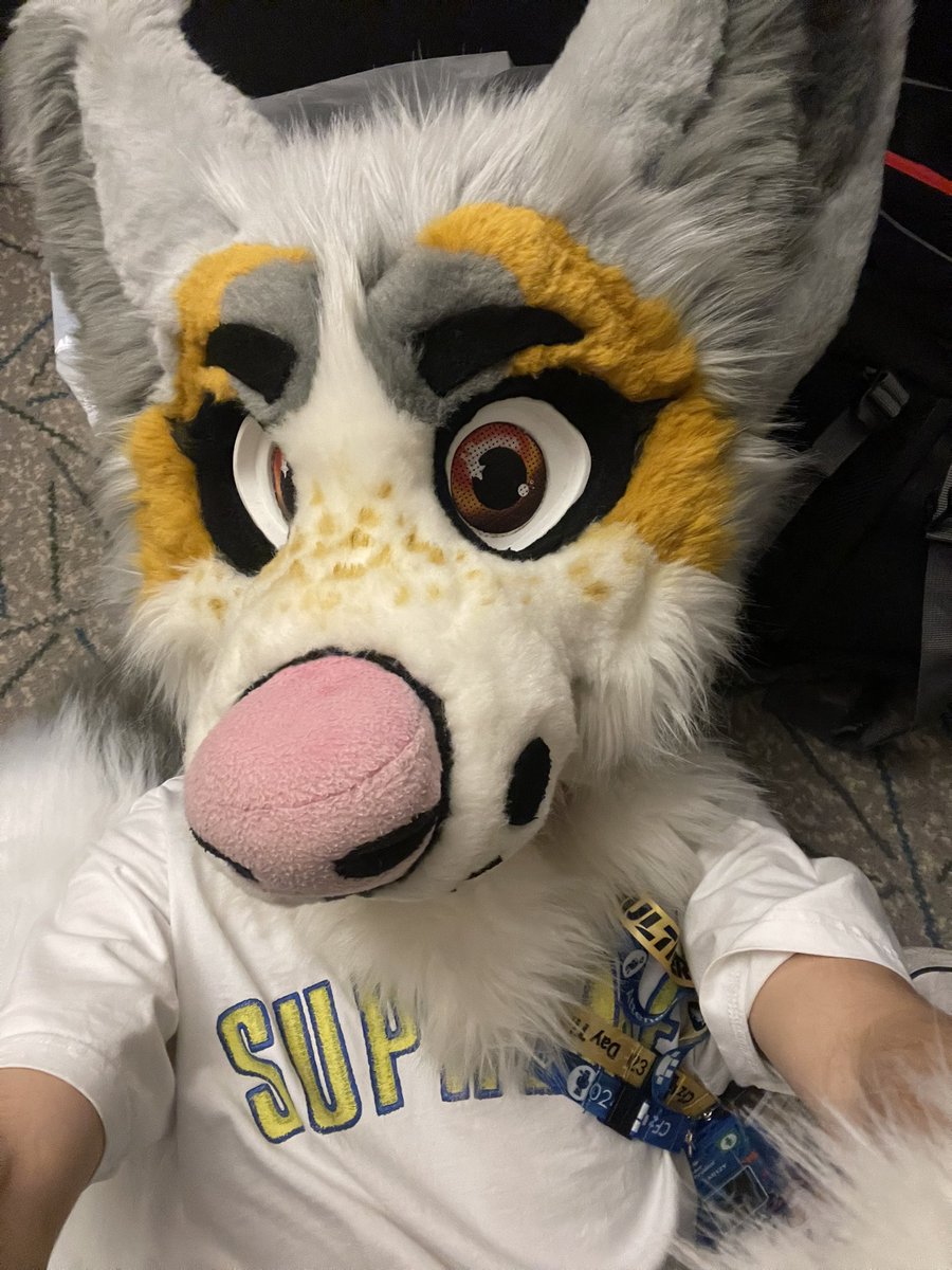 #FWA2025 I’M COMING
Feel free to give me belly rubs and stuff
Also happy #FursuitFriday

How to find me