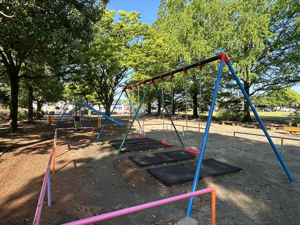backnumberの歌にもある西藤公園の藤の花も咲き始めたよ