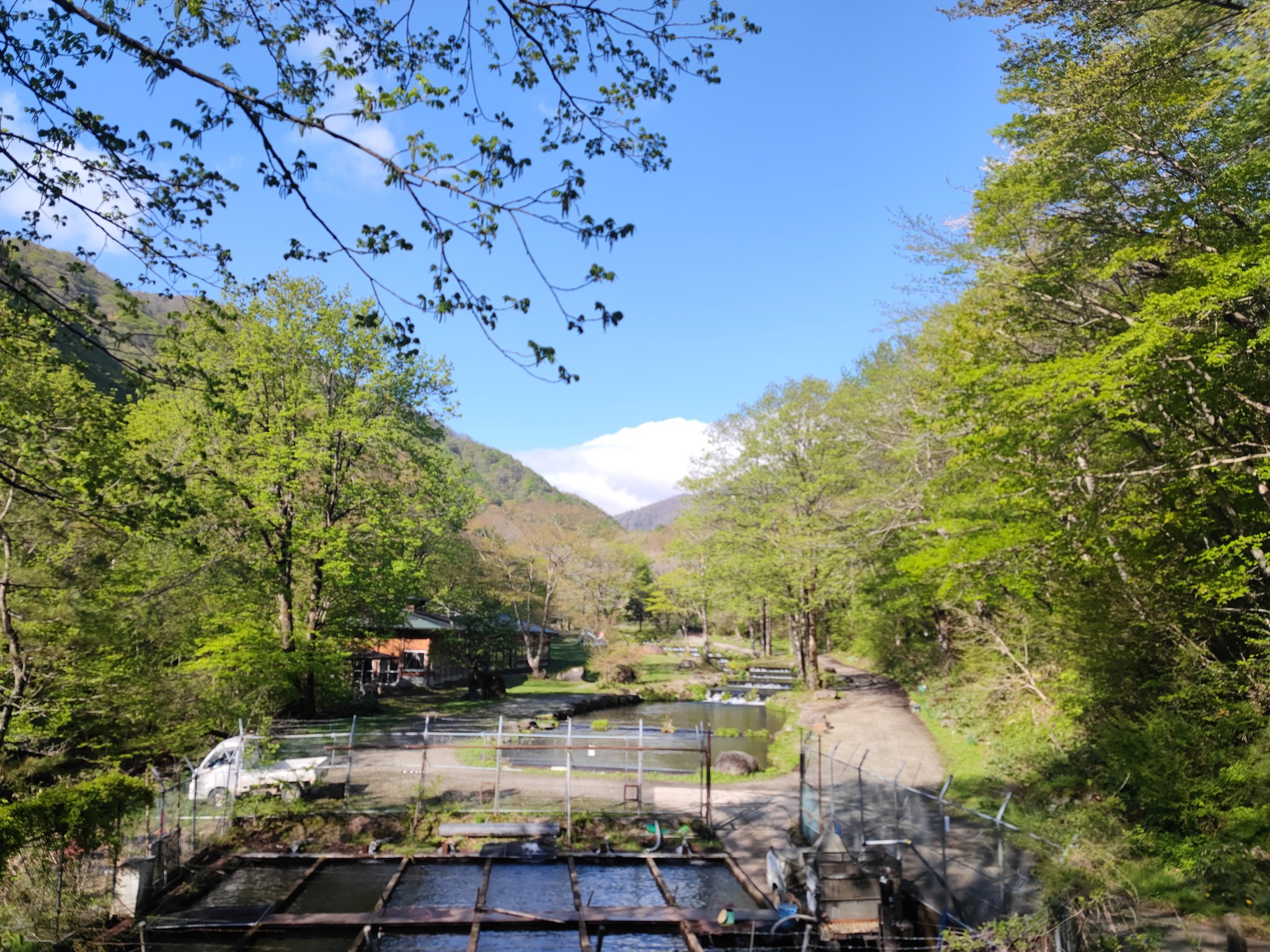 ▼希少 宮城県の渓流 釣り場 東京起点・日帰り1泊で楽しめる 東北の渓流 ③a Amazon.co.jp: 宮城県の渓流: 仙台起点日帰り1泊で楽しめる