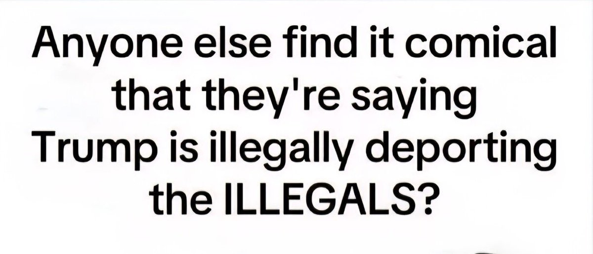 They’re so dumb