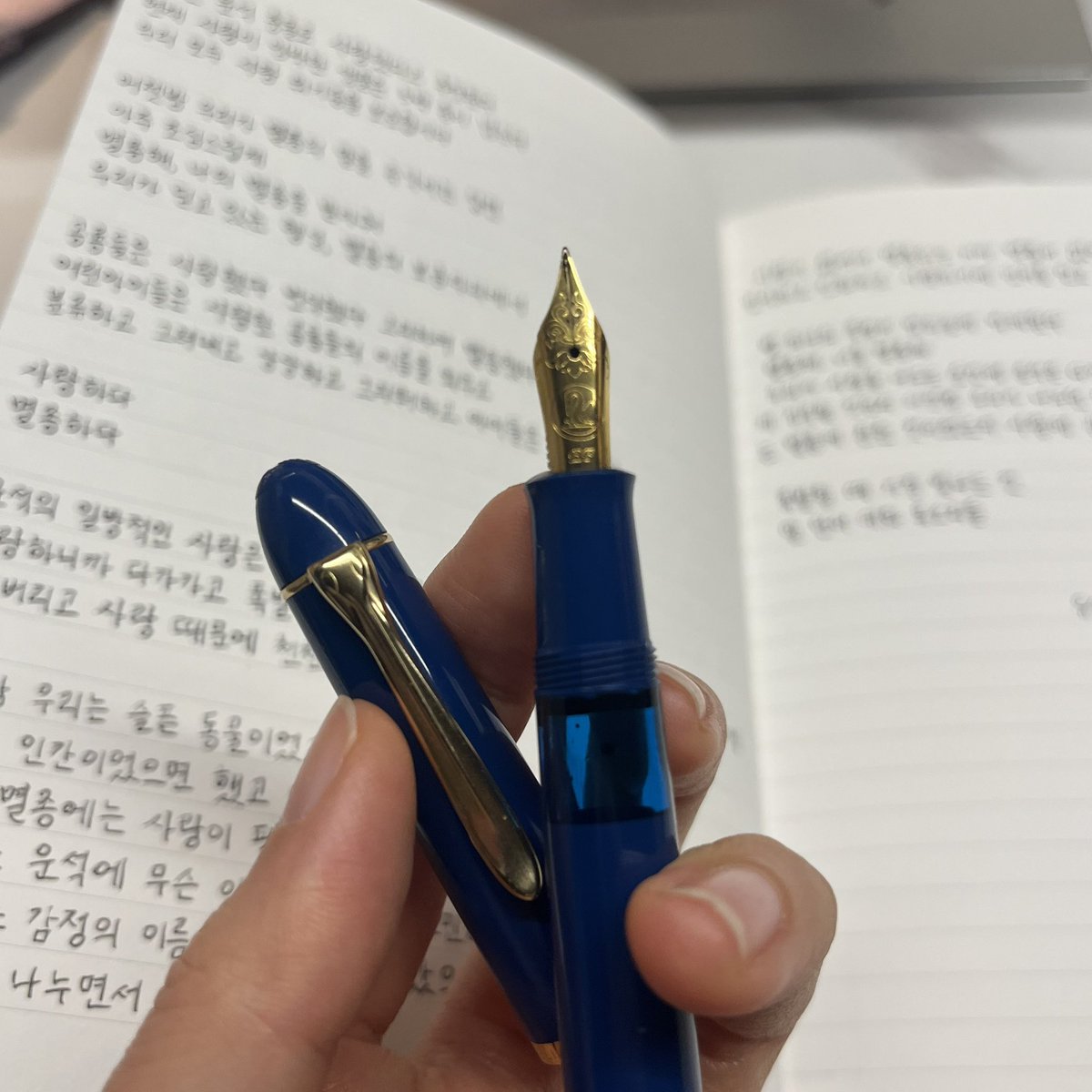 gamjajeon_jmt's tweet photo. 우리 모두 사랑 위기종을 보호합시다 #필사앳홈

유선혜 - 사랑과 멸종을 바꿔 읽어보십시오

ink: 펠리칸 블랙
pen: 펠리칸 m120 ef닙
note: 어프로치 퀄리티 페이퍼 https://t.co/hpIMU3nNuq