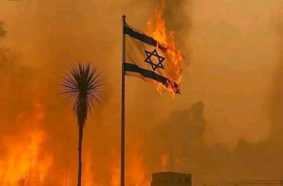 Wahai Api, makhluk Allah, 

BAKAR !!!
HANGUSKAN !!!

#SahabatPalestina_ID
#FreePalestine

(Yang dukung Api di Israel, silakan Repost/Like)