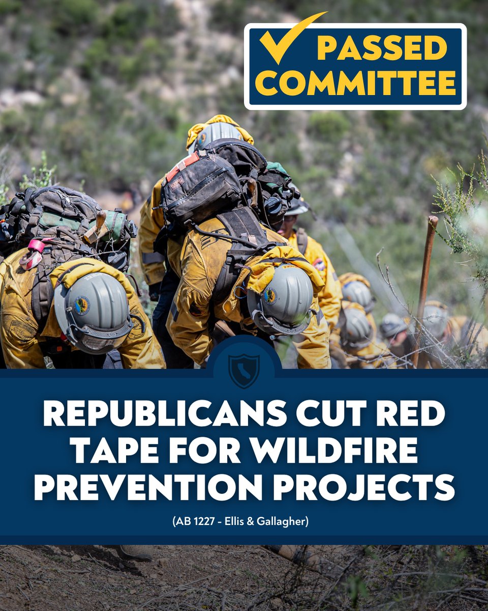 Two Assembly Republican bills to cut red tape and streamline wildfire prevention efforts passed committee this week.

We won’t stop fighting to protect California and our communities from devastating wildfires.