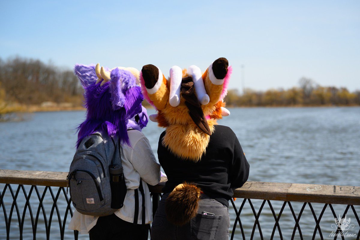 Enjoying the pretty views 🤍

Happy #FursuitFriday 
💜 <a href="/aurelionshole/">een</a> 
📸 <a href="/NoodleLunar/">Lunar</a>
