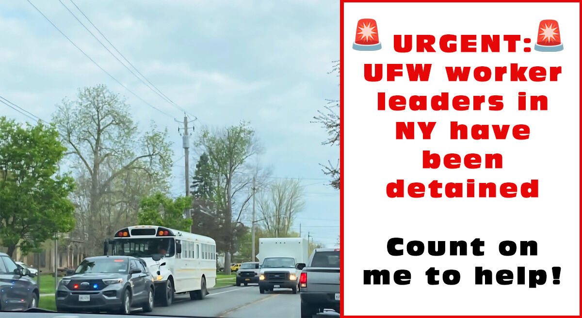UFWupdates's tweet image. URGENT: Federal immigration agents stopped a bus of farm workers from Lynn-Ette &amp;amp; Sons Farms on Fri am. They had a list of names, including UFW worker leaders who have been organizing to unionize their workplace. Those workers were detained.  1/ #WeFeedYou