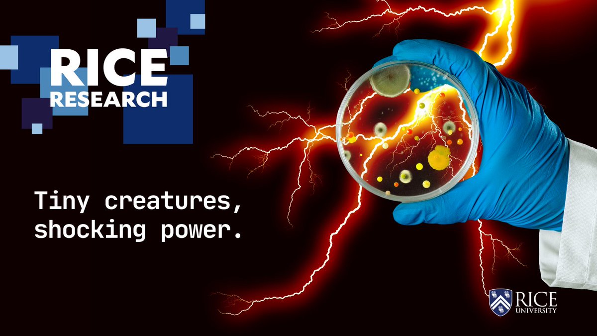 Rice University (@riceuniversity) on Twitter photo Could breathing bacteria have an electrifying impact on energy systems? Rice researchers are uncovering how microbes generate electricity to survive, revealing a natural process that could power breakthroughs in clean energy, biotechnology, and beyond. bit.ly/42HhwQm Could breathing bacteria have an electrifying impact on energy systems? Rice researchers are uncovering how microbes generate electricity to survive, revealing a natural process that could power breakthroughs in clean energy, biotechnology, and beyond. bit.ly/42HhwQm